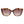 Longchamp Brown Acetate Sunglasses