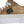 Dolce & Gabbana Gold White Logo Low Top Sneakers Shoes
