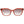 Ted Baker Red Women Sunglasses