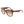 Lacoste Brown Acetate Sunglasses