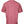 Dolce & Gabbana Pink Logo Print Cotton Crew Neck T-shirt