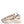 Dolce & Gabbana Multicolor Daymaster Low Top Sneakers Shoes