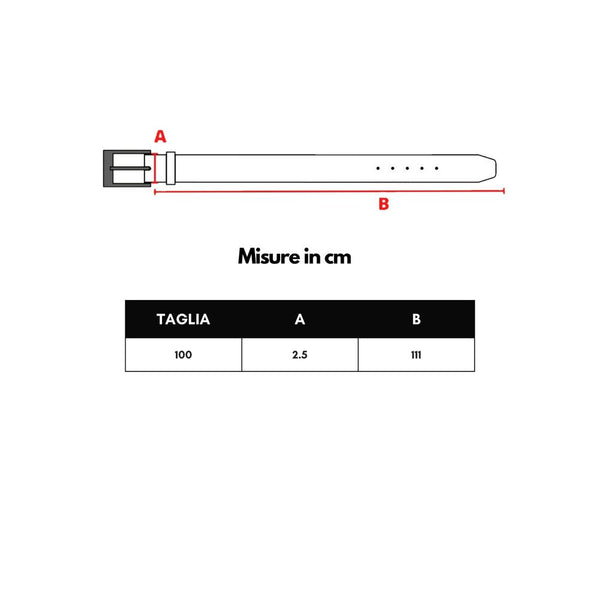 Dolce & Gabbana Brown Calfskin Belt