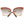 Emilio Pucci Brown Women Sunglasses