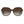 Polaroid Brown Plastic Sunglasses