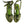 Dolce & Gabbana Green Animal Print Ankle Wrap Sandals Shoes