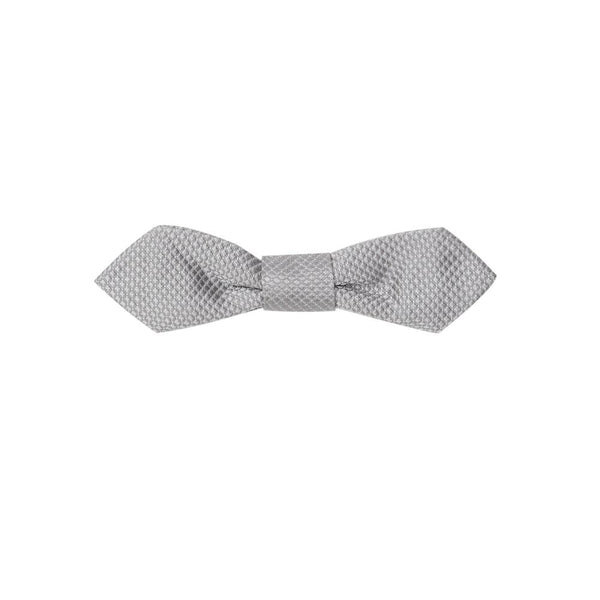 Dolce & Gabbana Gray Silk Bowty