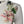 Dolce & Gabbana Cream Floral Silk Embellished Cardigan Sweater
