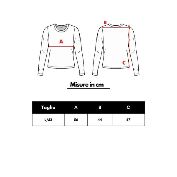 Cruciani Gray Cashmere Turtleneck