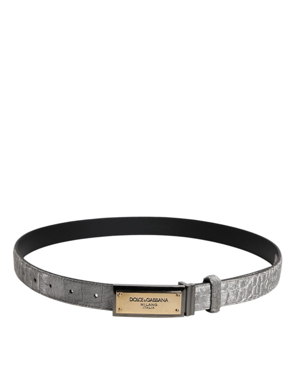 Dolce & Gabbana Silver Classic Gold Logo Plaque Buckle Belt