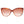 Jimmy Choo Brown Women Sunglasses