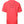 Dolce & Gabbana Red Cotton Lettering Print Crew Neck T-shirt
