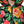 Dolce & Gabbana Multicolor Floral Puffer Hooded Jacket