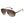 Carrera Bicolor Metal Sunglasses