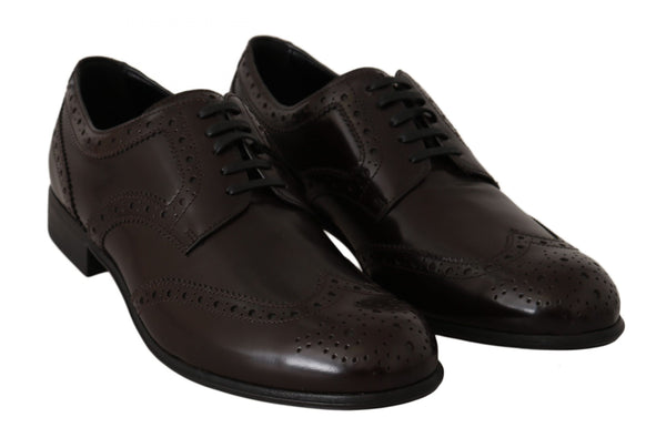 Dolce &amp; Gabbana Ruskeat nahkaiset Broques Oxford Wingtip -kengät