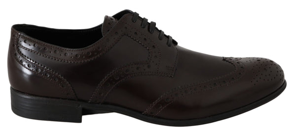 Dolce &amp; Gabbana Ruskeat nahkaiset Broques Oxford Wingtip -kengät