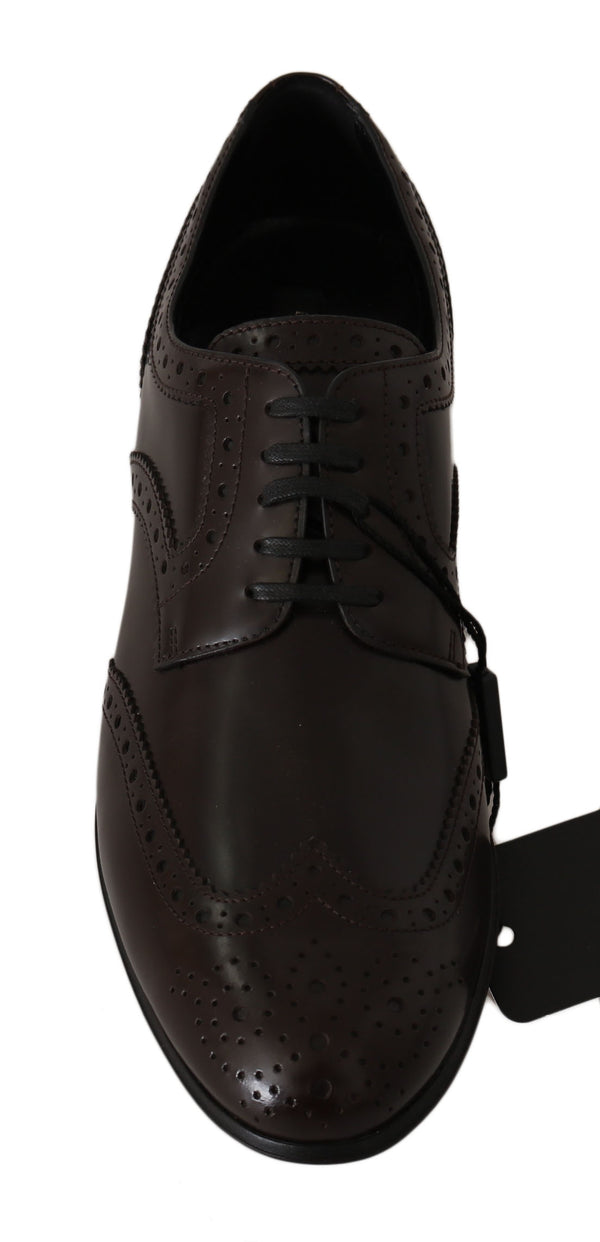 Dolce &amp; Gabbana Ruskeat nahkaiset Broques Oxford Wingtip -kengät