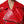 Dolce & Gabbana Red Lambskin Full Zipper Jacket