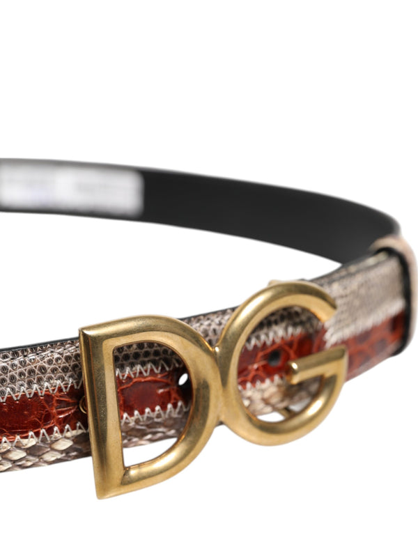 Dolce & Gabbana Multicolor Exotic Leather DG Logo Buckle Belt