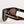 Dolce & Gabbana Dark Brown Havana DG4398F Square Frame Eyewear Sunglasses