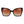 Marciano by Guess Black Women Sunglass