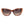 Marciano by Guess Brown Women Sunglass