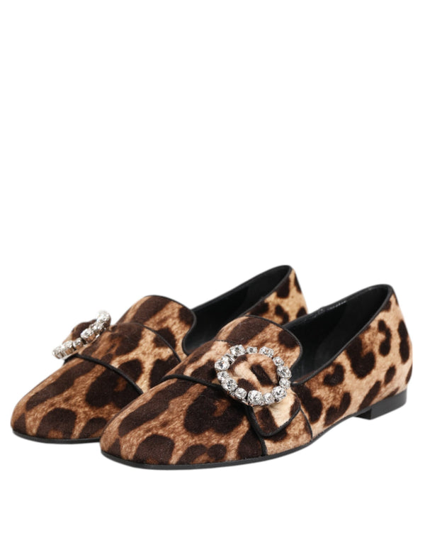 Dolce & Gabbana Brown Leopard Print Crystals Loafers Flats Shoes
