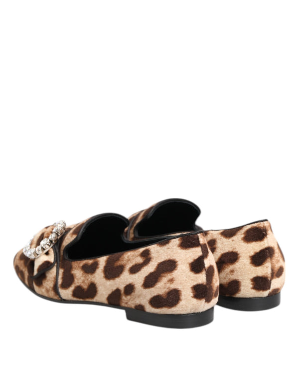 Dolce & Gabbana Brown Leopard Print Crystals Loafers Flats Shoes