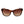 Radley Brown Women Sunglass