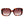 Ted Baker Brown Women Sunglass