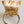 Dolce & Gabbana Gold Brass Resin Beige Dog Pet Accessory Ring