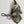Dolce & Gabbana Multicolor Camouflage Animal Silhouette Keychain Keyring