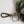 Dolce & Gabbana Multicolor Camouflage Animal Silhouette Keychain Keyring