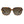 Polaroid Brown Acetate Sunglasses