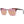 Emilio Pucci Brown Women Sunglass