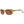 Harley-Davidson Brown Women Sunglass