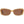 Harley-Davidson Brown Women Sunglass