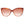 Jimmy Choo Brown Women Sunglass
