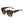 Jimmy Choo Brown Acetate Sunglasses