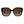 Jimmy Choo Brown Acetate Sunglasses