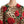 Dolce & Gabbana Brown Leopard Red Roses Cotton A-line Dress