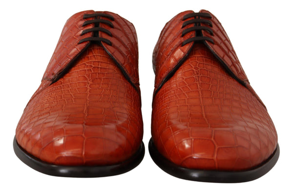 Dolce &amp; Gabbana oranssi eksoottinen nahkamekko Derby-kengät