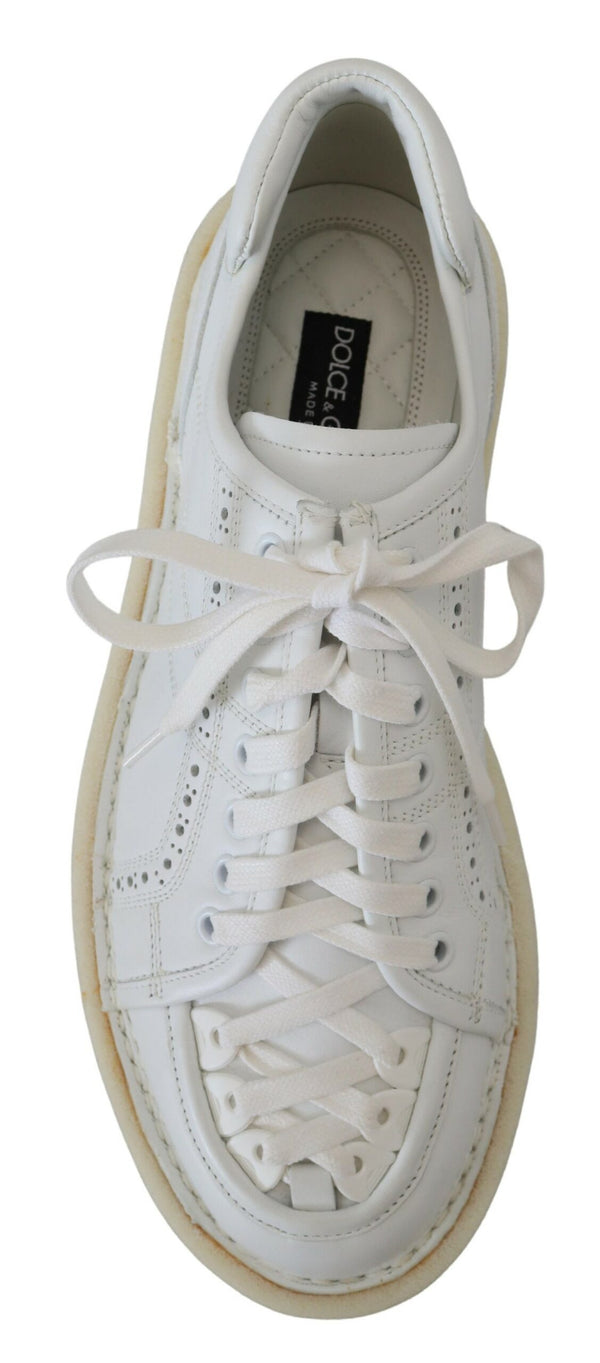 Dolce & Gabbana Elegant White Low Top Oxford Sneakers
