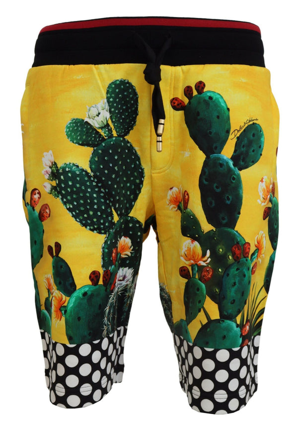Dolce &amp; Gabbana Multicolor Cactus Print Cotton Sweat shortsit