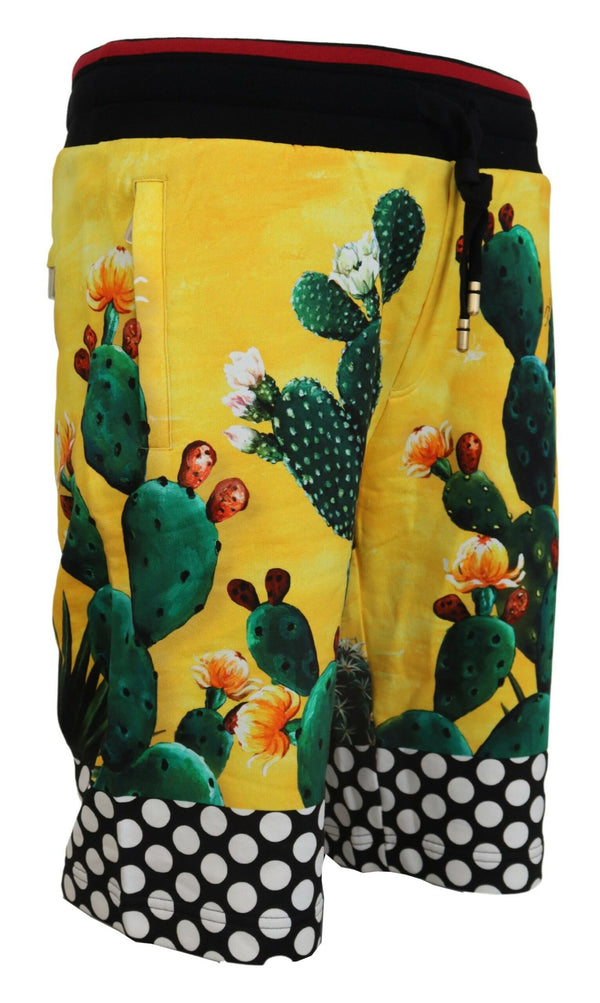 Dolce &amp; Gabbana Multicolor Cactus Print Cotton Sweat shortsit