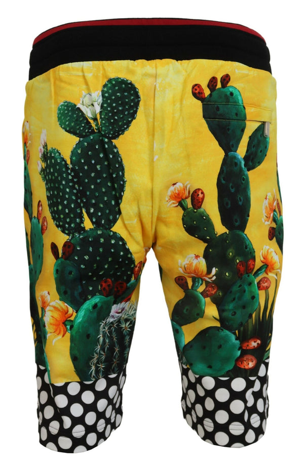 Dolce &amp; Gabbana Multicolor Cactus Print Cotton Sweat shortsit