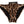Dolce & Gabbana Bikini Bottom Ruskea Leopard Print -uimapuku Uimapuku