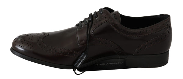 Dolce &amp; Gabbana Ruskeat nahkaiset Broques Oxford Wingtip -kengät