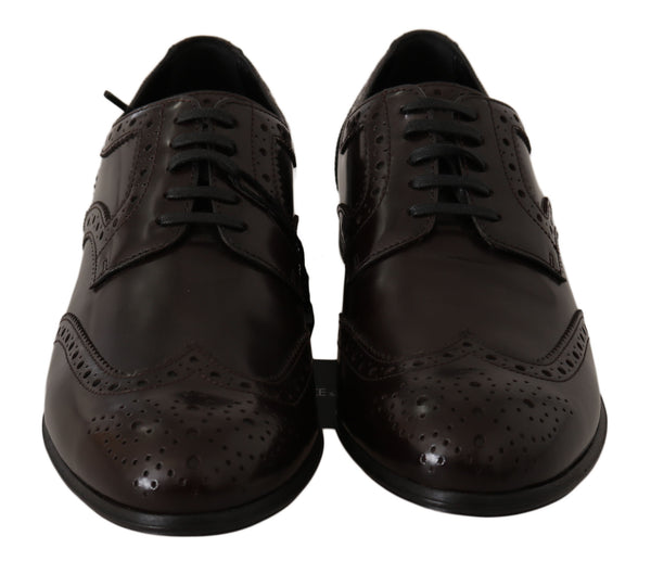Dolce &amp; Gabbana Ruskeat nahkaiset Broques Oxford Wingtip -kengät