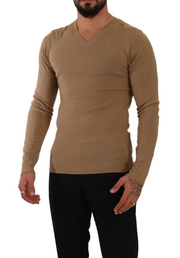 Ermanno Scervino Classic V-Neck Wool Sweater in Brown